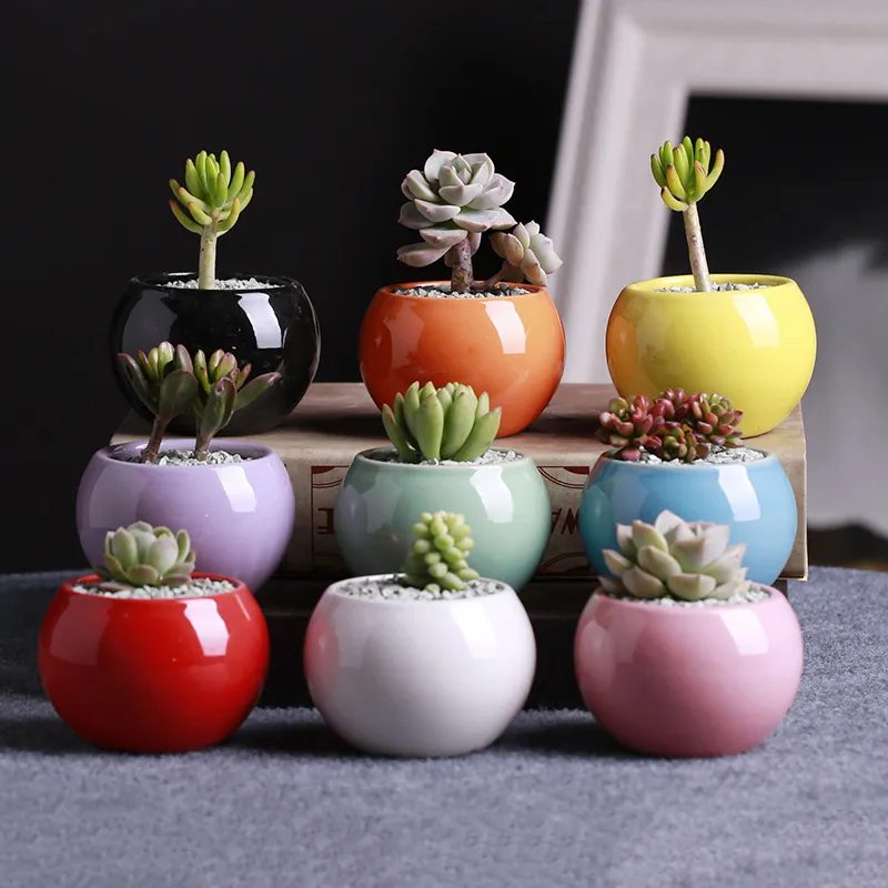 Ceramic Pots Succulents Flower Pot Small Ball Round White Porcelain White Color Mini Creative