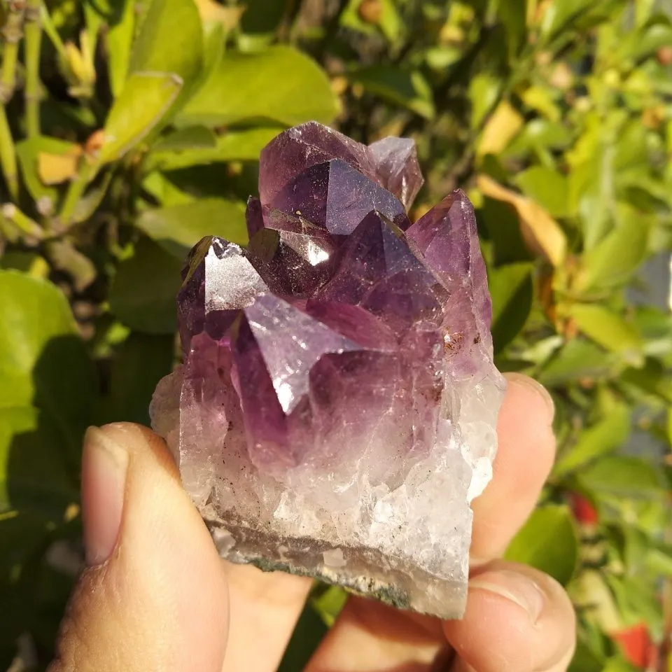 1pcs 60g Uruguay Natural Amethyst Geode Crystal Quartz Amethyst Cluster Specimen