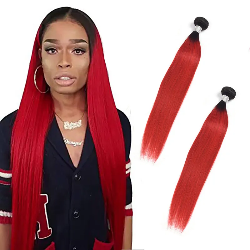 Extensions de cheveux vierges malaisiennes droites 2 faisceaux 100% cheveux humains 1B / trames de cheveux rouge Ombre 10-28 pouces 2 pièces / lot 1B rouge