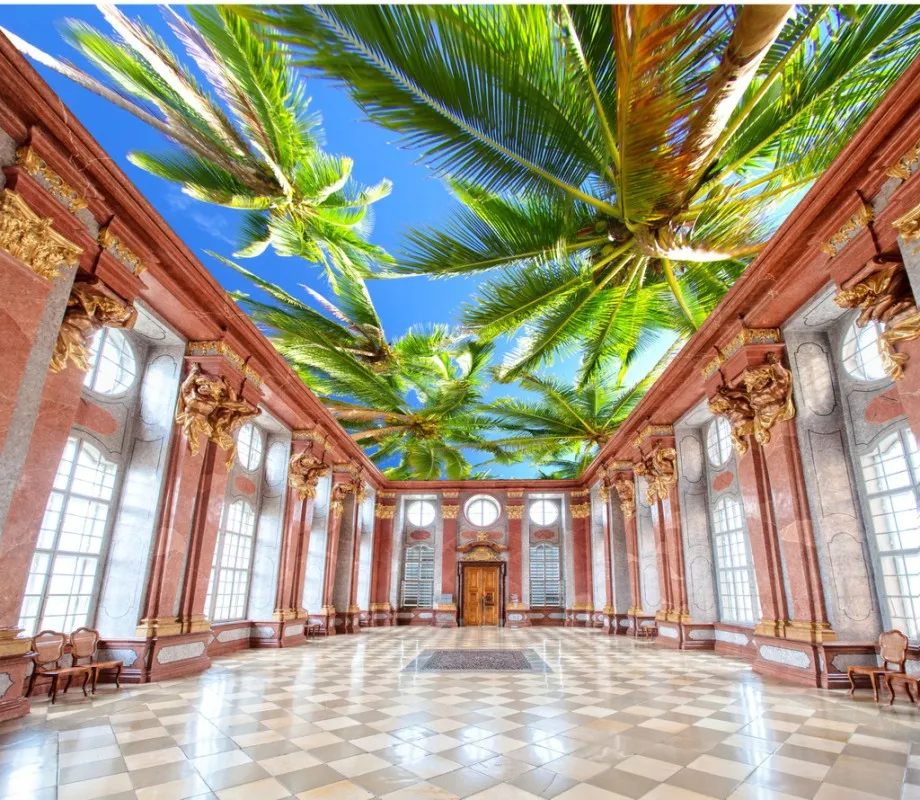 Custom Beach Ceilings Tree HD Ceilings Mural 3d Ceiling Murals