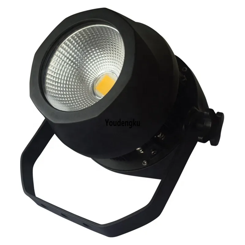 2 sztuk 200watat Wodoodporny IP65 COB Outdoor Par może prowadzić Par Light 200 Cob Led Par Light Outdoor