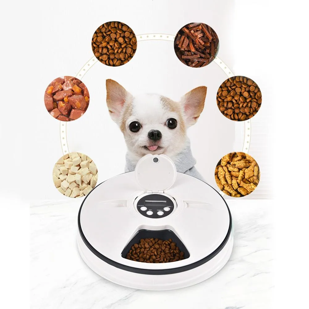 2019 New Automatic Pet Feeder Timing Feeder 6 Måltider 6 Grids Cat Dog Electric Dry Food Dispenser Dish Feed 24 Hours Timer Pet Supplies
