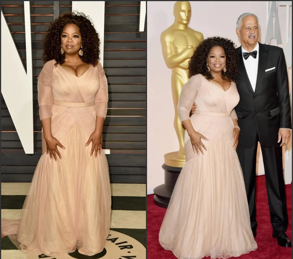 Oprah Winfrey robes de soirée 2019 col en V en mousseline de soie tapis rouge célébrité vacances femmes portent des robes de soirée formelles sur mesure, plus la taille