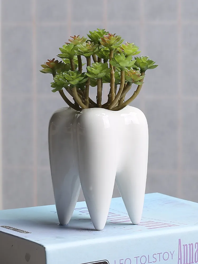 Dientes flor maceta suculenta cerámica maceta casero jardín decoración creativa diseño de escritorio decoración de escritorio jarrón