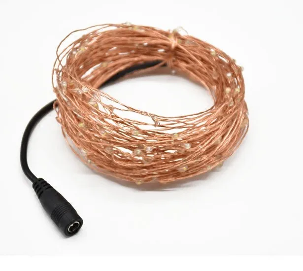 12V Copper String Lights 10m 20m Led Fairy Light With Power Adapter For