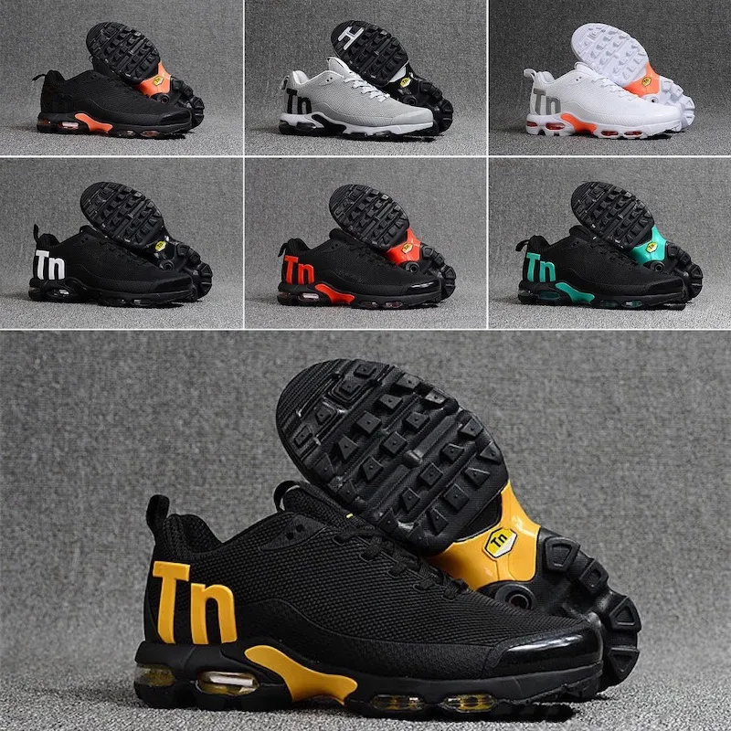 Basket online requin 2019