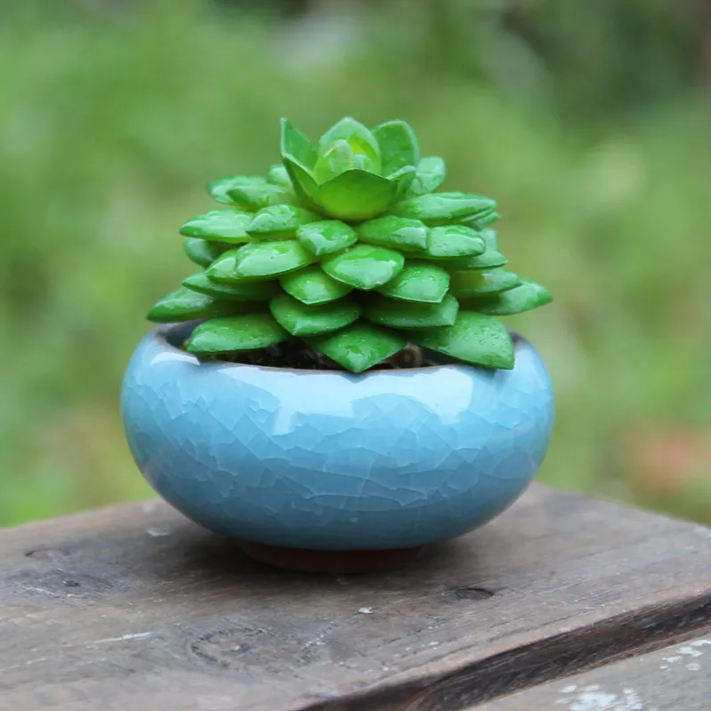 Ice Cracked Ceramics Garden Pot Breathable Mini Planters For Home Desktop Succulent Plants Flowerpot Free DHL