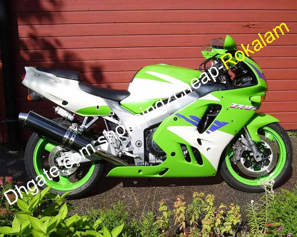 R❤︎. 様 Kawasaki Ninja ZX9R Fairing Kit 1994 1997 Custom Bodywork