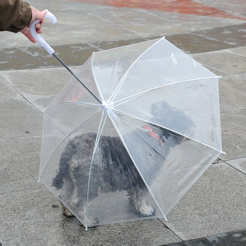 Przezroczysty PE Pet Parasol Mały pies Puppy Parasol Gear Gear z prowadzeniem psem Utrzymuje Pet Travel Outdours Supplies WX9-1314