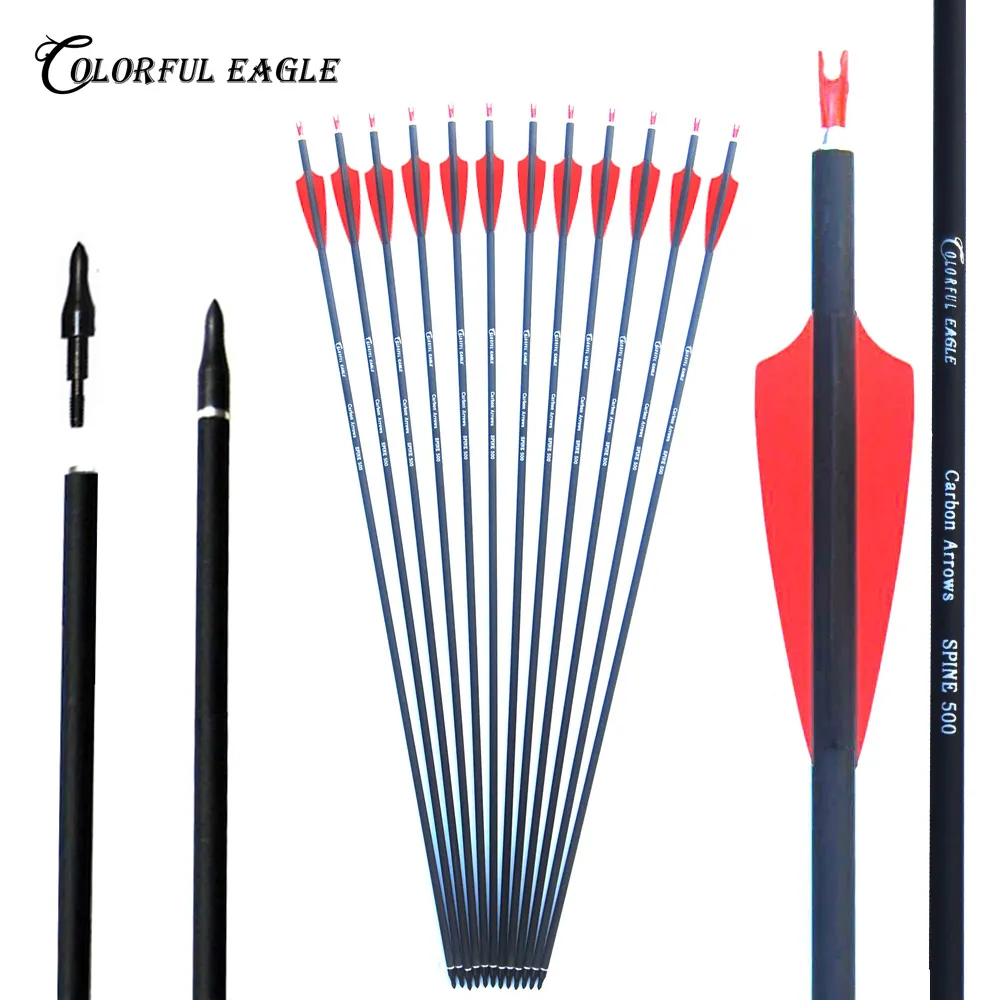 Flèches de chasse en carbone 28 "/30"/31 ", pointes de flèches remplaçables, encoches pour arcs recourbés composés, pratique de tir