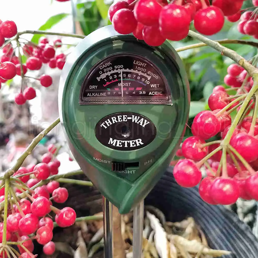 Kryp-xlux Misuratore di umidità del suolo Monitor dell'acqua, igrometro per  giardinaggio, agricoltura, piante, nessuna batteria richiesta, confezione  da 2 - nero + verde