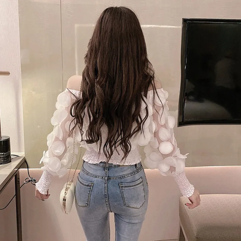 DHgate.com:Womens Off-Shoulder Mesh Sheer Puff Sleeve Tops