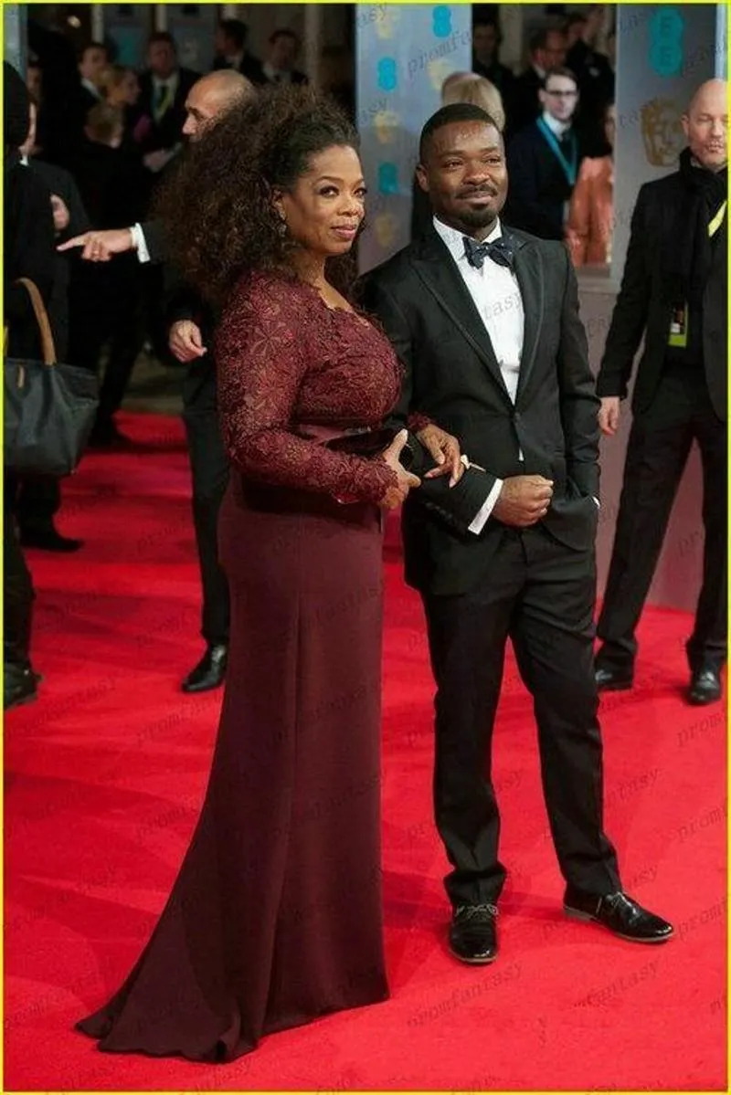 2019 Nova Oprah Winfrey Burgundy mangas compridas Sexy Mãe da Noiva Vestidos V-Neck Sheer Lace Bainha Plus Size celebridade Red Carpet Vestidos