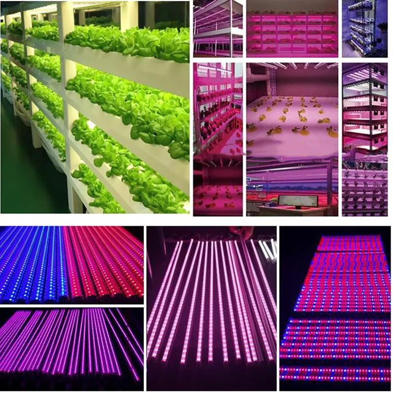LED Grow Light T8 V Shaped Integrated Plant Light Tubes Full Spectrum