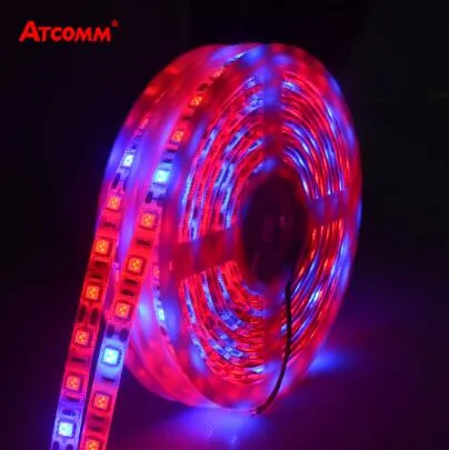 5 m LED-fyto Lampor Full Spectrum LED Strip Light 300 LED 5050 Chip LED Fitolampy Grow Lights för växthus Hydroponic Plant