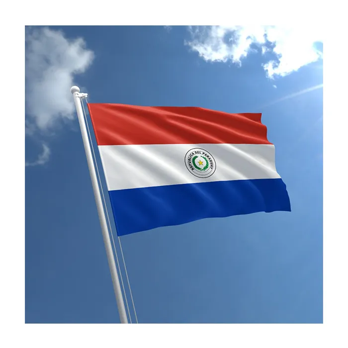 3x5ft Vlag van Paraguay Reclame Digitaal Gedrukt Polyester zeefdruk Alle landen, Outdoor Binnen Gebruik, Drop Shipping