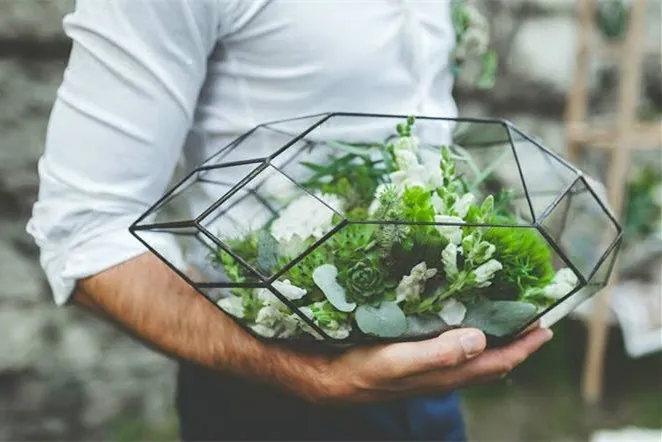 Terrario in vetro fatto a mano / Fioriera moderna per giardinaggio interno / Fioriera da tavolo per serra con forma di cristallo geometrica Decorazione domestica