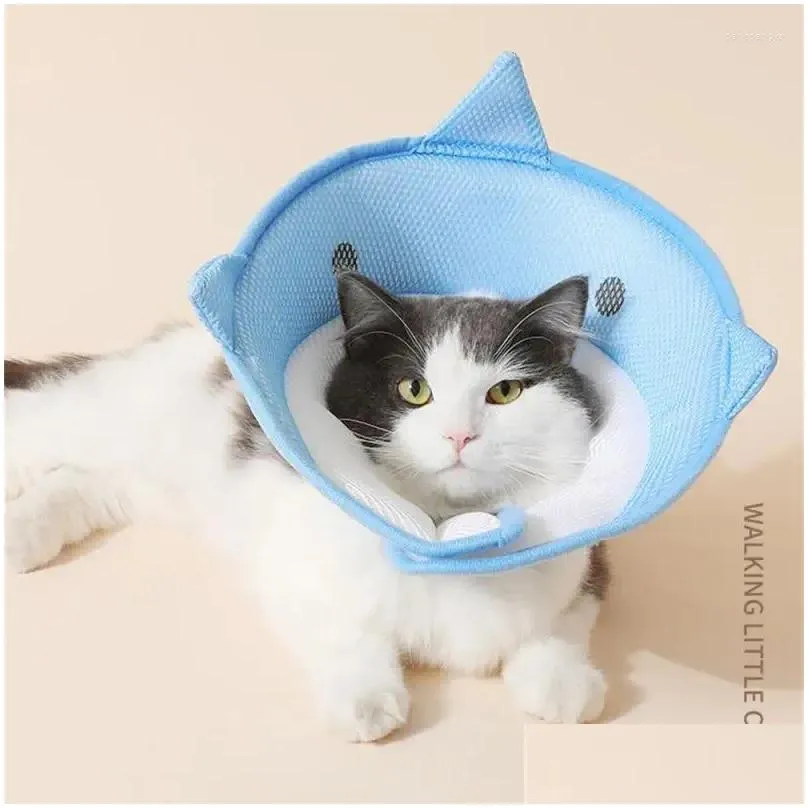 Dog Collars Puppy Adjustable Lick And Bite Protection Hat Prevent Scratches Infections Elizabethan Collar With Straps Cat