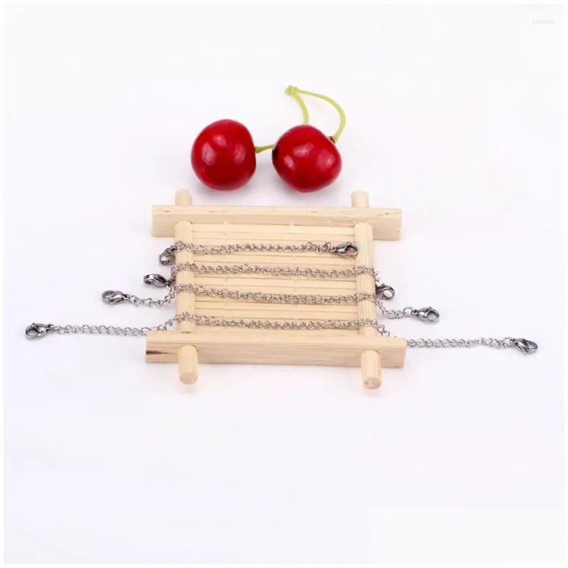 Chains Luxukisskids Wholesale 8Pcs/Lot 316L Plating Extended Chain Necklace Stainless Steel Rolo Gold Color 2 3 4 6 Inch Drop Deliver Dh2Tp