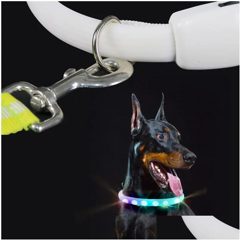 dog collars leashes d buckle usb rechargeable collar led light night safety glowing pet luminous flashing necklace antilost harnesses