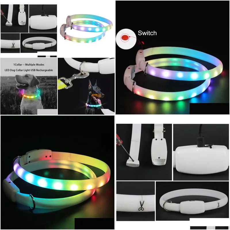 dog collars leashes d buckle usb rechargeable collar led light night safety glowing pet luminous flashing necklace antilost harnesses