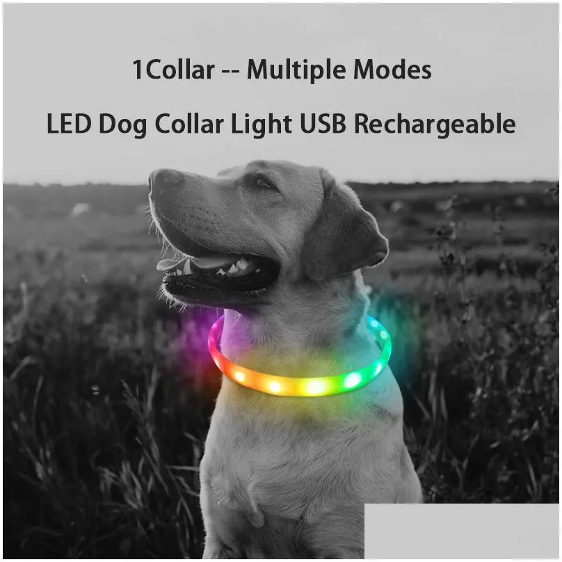 dog collars leashes d buckle usb rechargeable collar led light night safety glowing pet luminous flashing necklace antilost harnesses