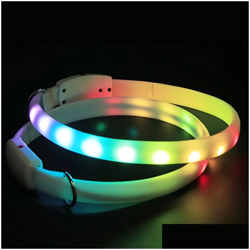 dog collars leashes d buckle usb rechargeable collar led light night safety glowing pet luminous flashing necklace antilost harnesses