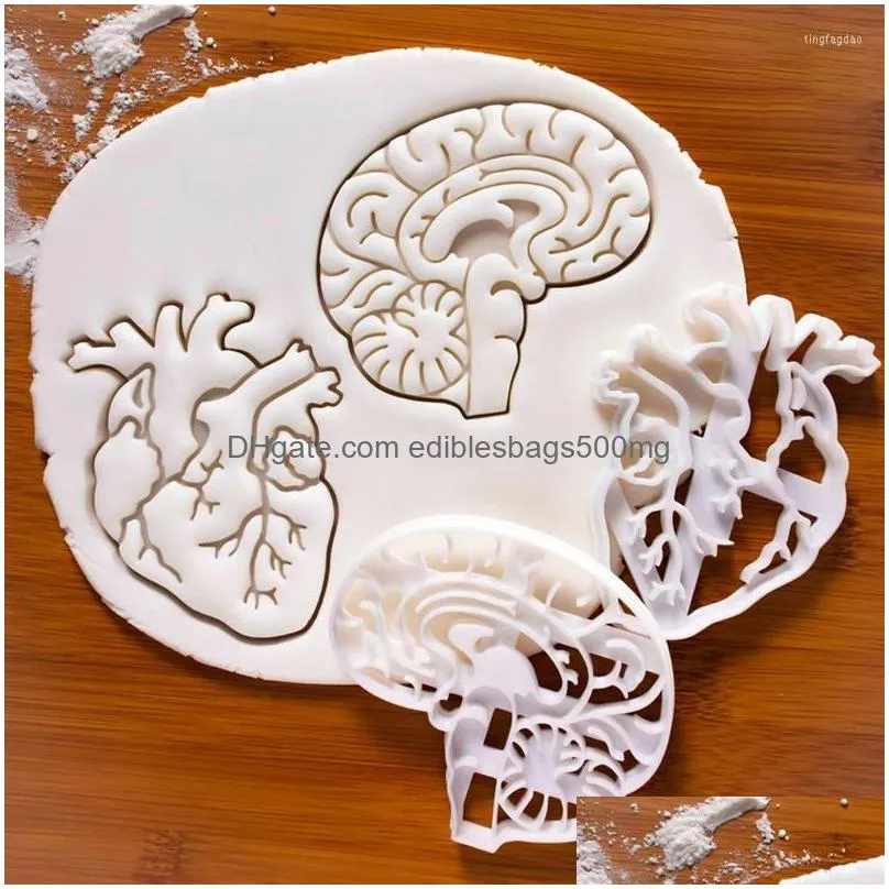 baking moulds 2023 mold diy biscuit human organ tool cake decor brain heart custom cookie cutter