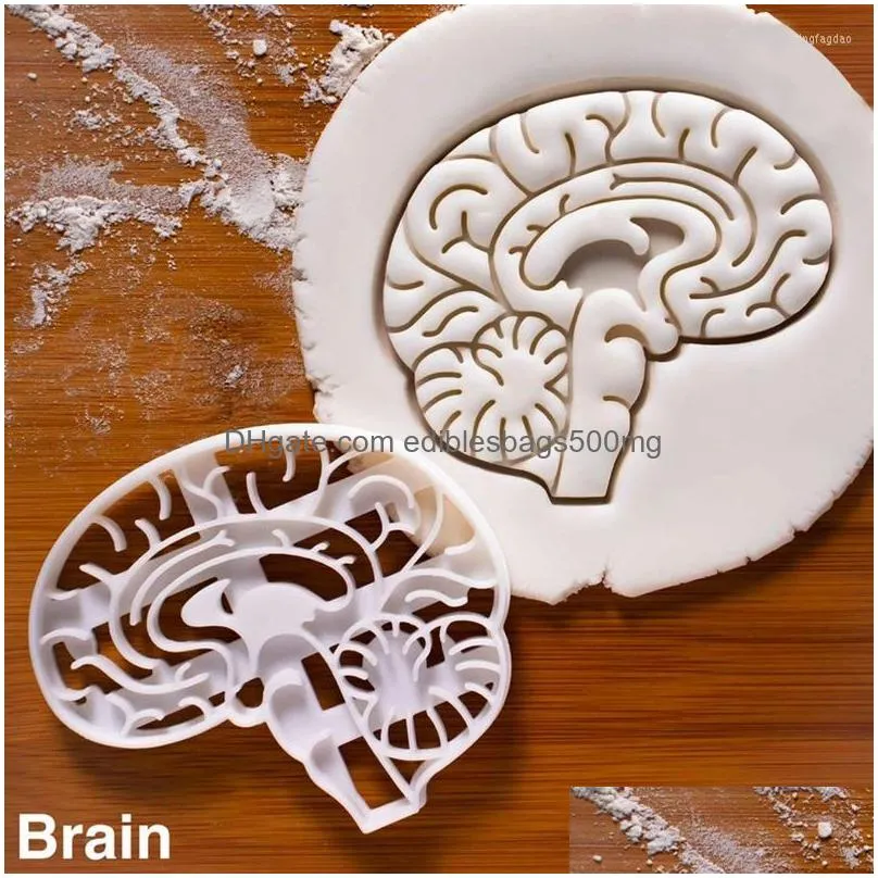 baking moulds 2023 mold diy biscuit human organ tool cake decor brain heart custom cookie cutter