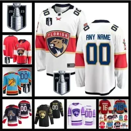 Carolina``Panthers``2023  Cup Final Aleksander Barkov Hockey Jerseys Aaron Ekblad Matthew Tkachuk Sergei Bobrovsk