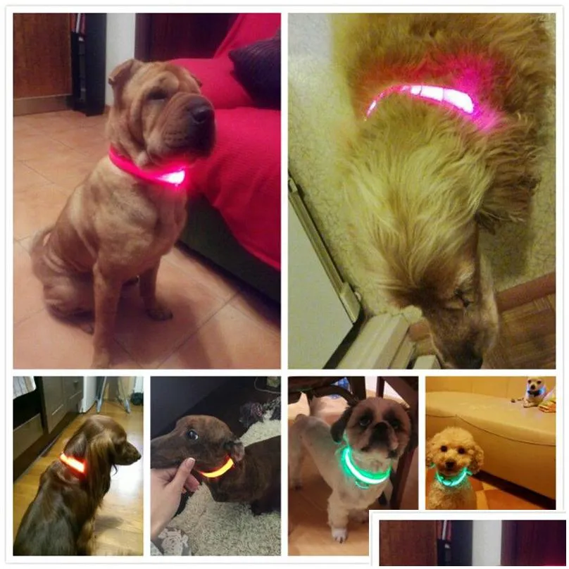 2022nylon led pet dog collar night safety flashing glow in the dark dog leash dogs luminous fluorescent collars pet supplies