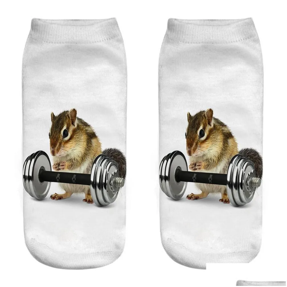 socks funny sporty cartoon animal 3d print fitness panda squirrel dog weightlifting yoga gymnastics skateboard ball games aliexp