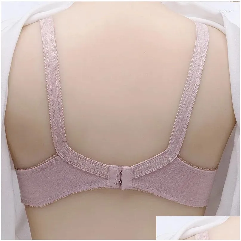 bras 2024 fashion thin breathable bra lace embroidered women`s bralette underwear comfortable wire free brassiere plus size