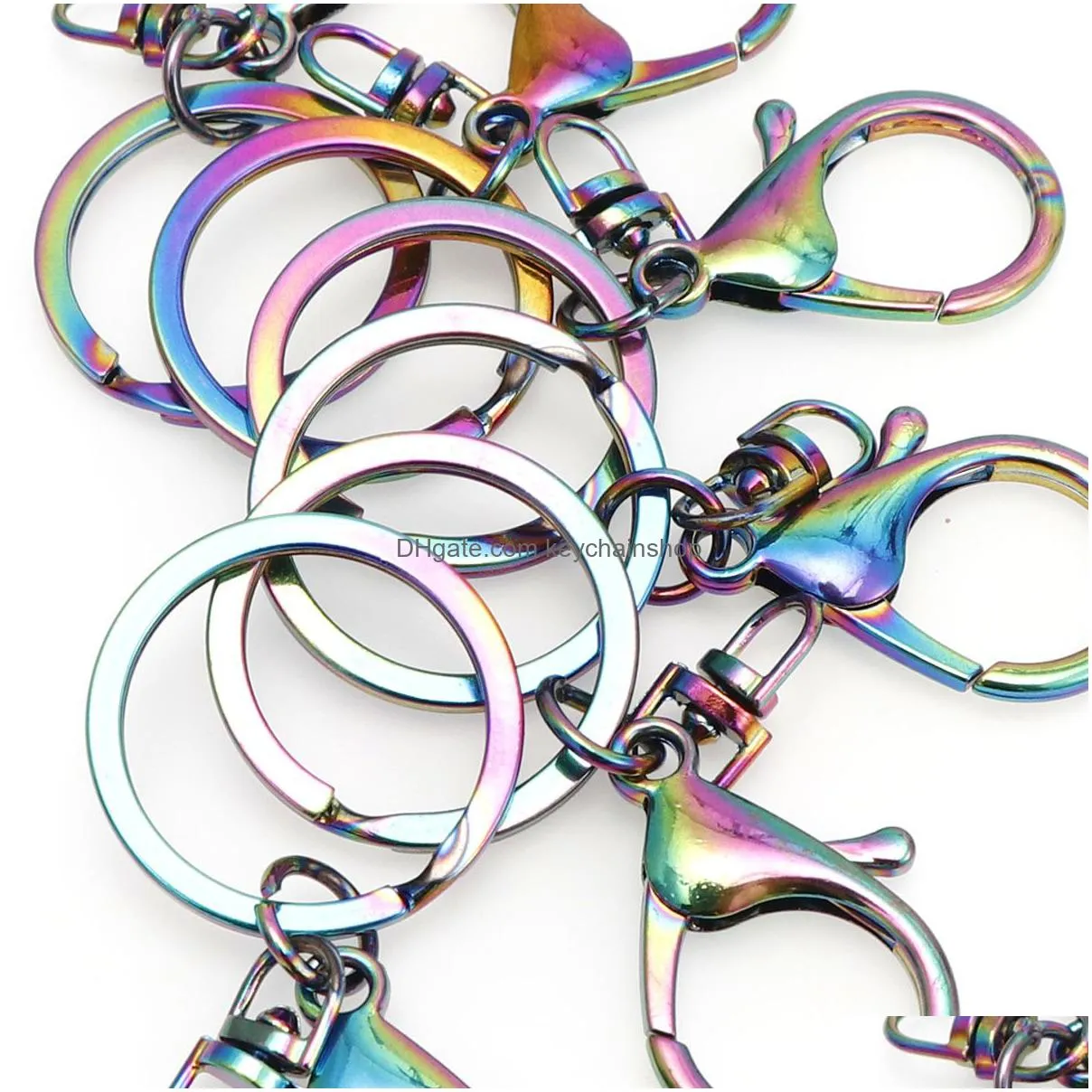 Chromatic Rainbow Keychains Metal Key Chain Ring Split Rings Uni Keyring Holder Accessories Drop Delivery Dhjld