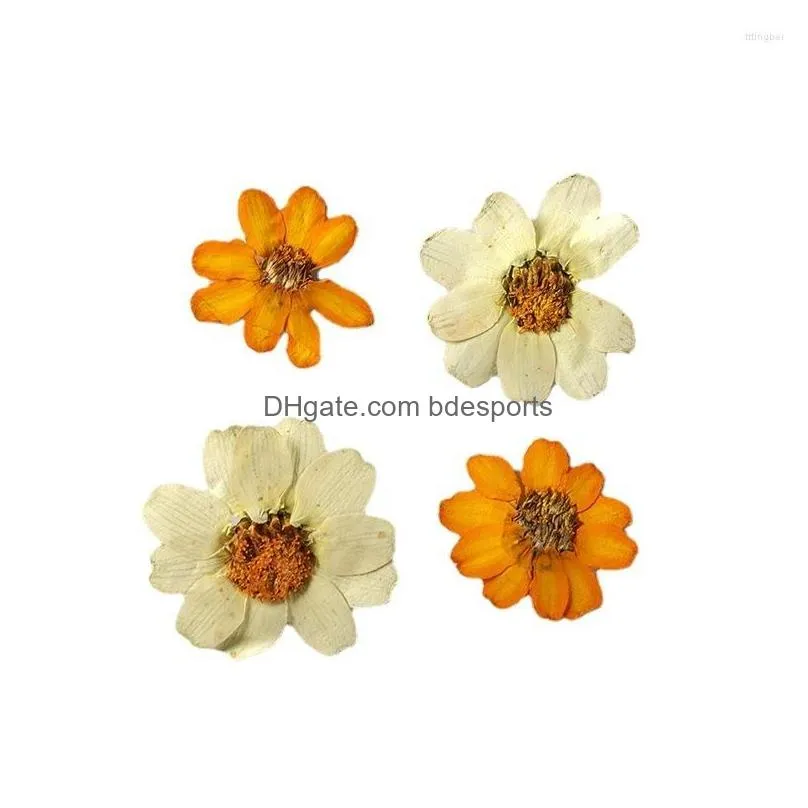 Decorative Flowers & Wreaths Decorative Flowers 1Set Pressed Dried Zinnia Elegans Jacq Flower Herbarium For Epoxy Resin Jewelry Making Dhujo