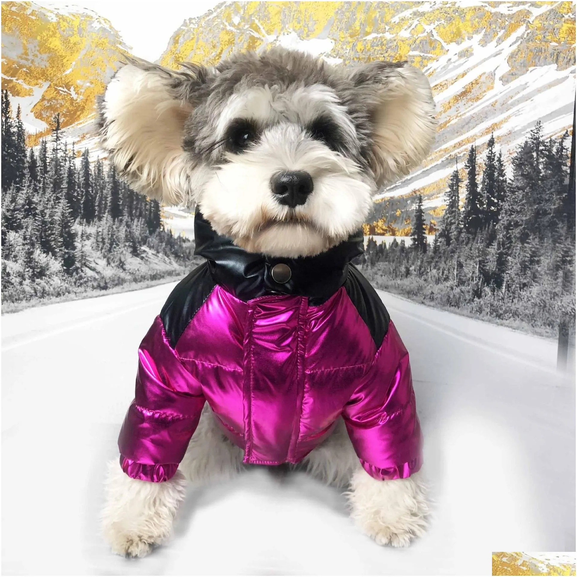 winter popular dog clothes ski suit pet down jacket dog puffer coat so cool handsome dog coat poodle 2 colors 