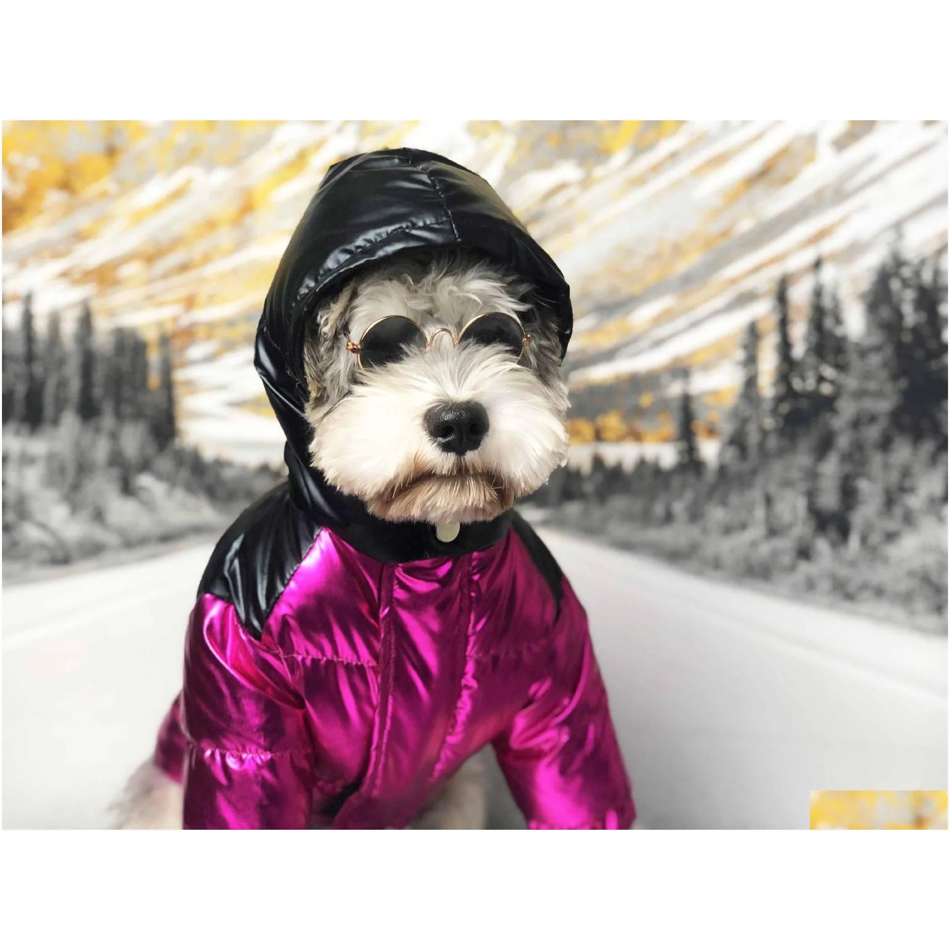 winter popular dog clothes ski suit pet down jacket dog puffer coat so cool handsome dog coat poodle 2 colors 