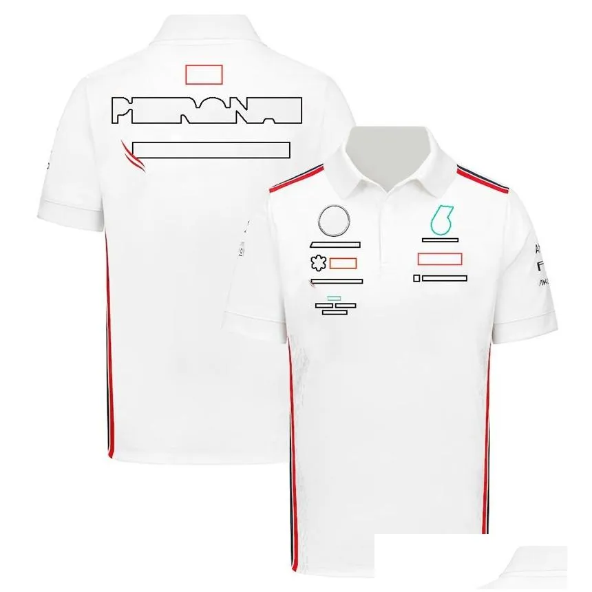 2023 new f1 racing suit summer t-shirt team driver t-shirt men`s polo shirt can be customized.