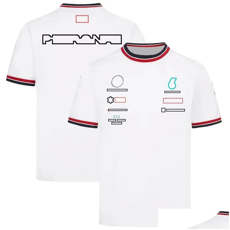 f1 t-shirt formula 1 team racing t-shirt polo shirts fans summer casual quick dry sports short sleeve f1 shirts men`s jersey top