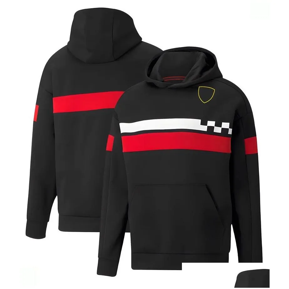 new f1 formula one racing suit men`s racing series hoodie custom team joint sweater