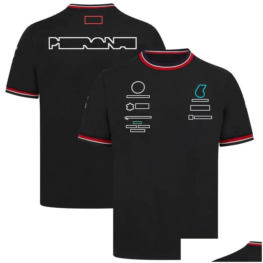 f1 t-shirt formula 1 team racing t-shirt polo shirts fans summer casual quick dry sports short sleeve f1 shirts men`s jersey top