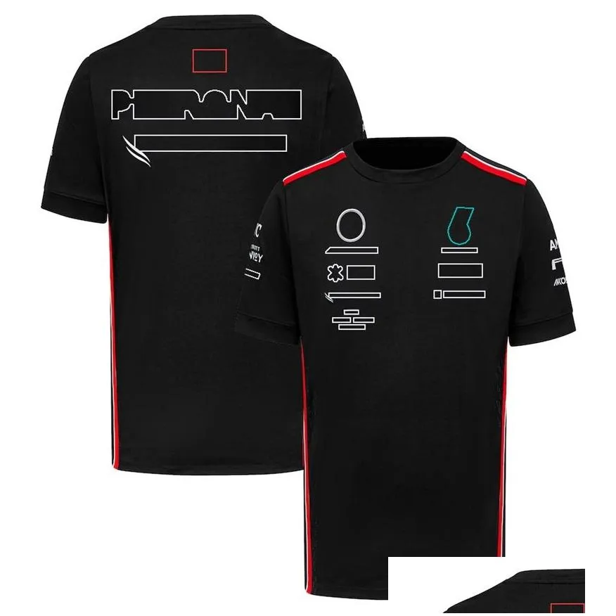 2023 new f1 racing suit summer t-shirt team driver t-shirt men`s polo shirt can be customized.