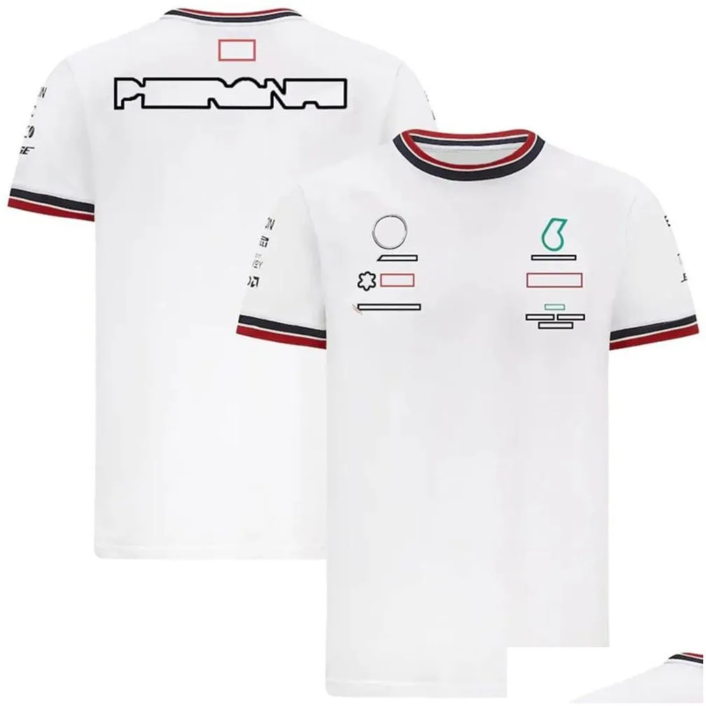 f1 t-shirt new formula 1 racing team sports short-sleeved t-shirts motorsport summer motorcycle riding jersey men`s quick-dry t-shirt