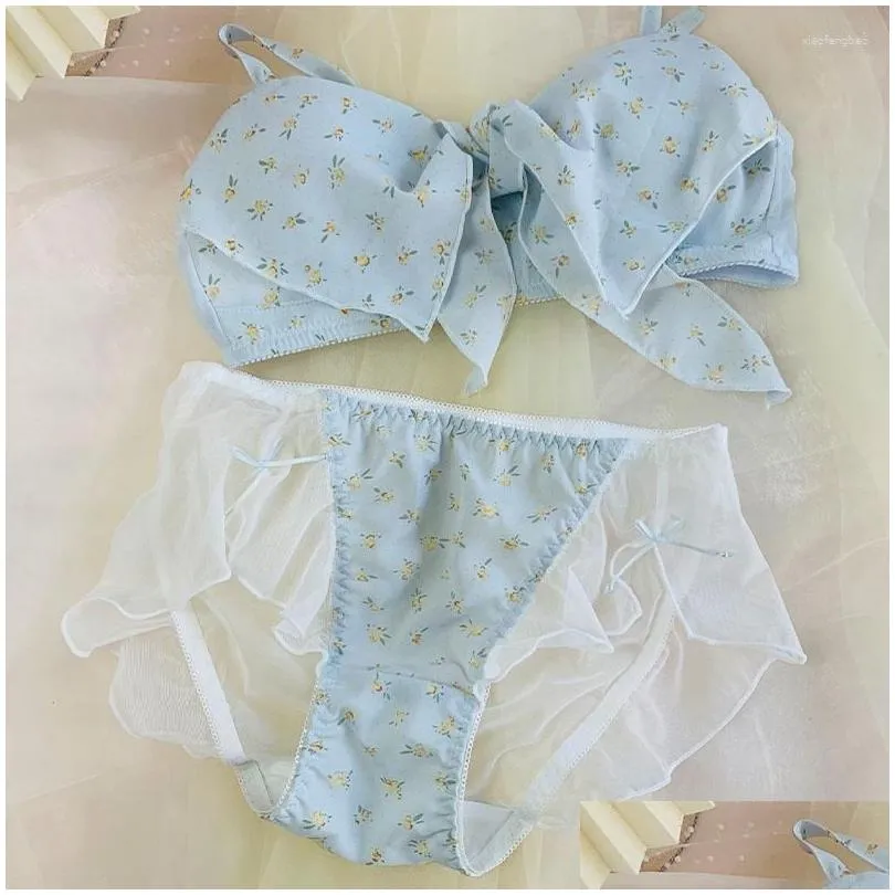 bras sets japanese cute kawaii lingerie bra thong set underwear briefs for women girl schoolgirl lolita lace transparent and panty