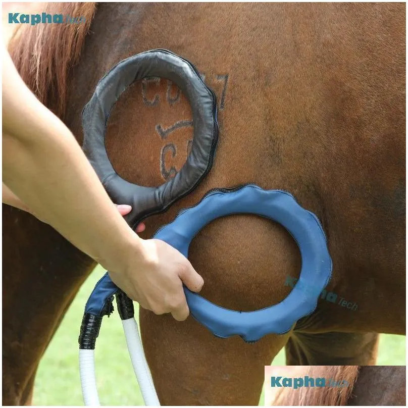 pemf equine loop magnetic therapy for horse injury and rehabilitation machine