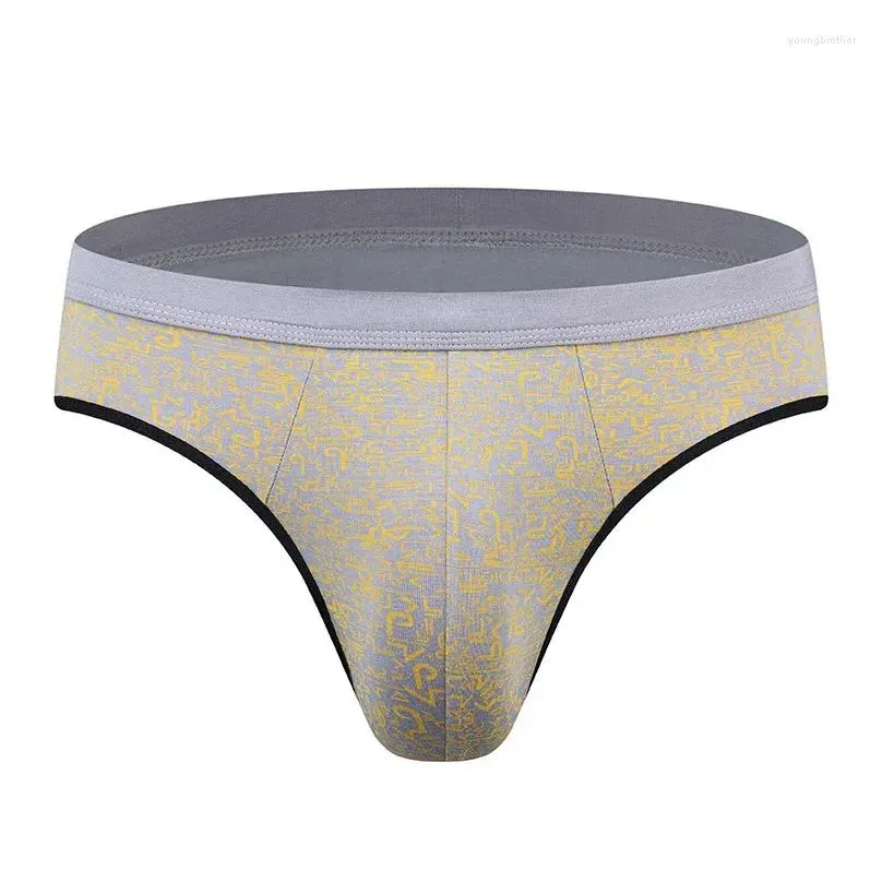 underpants 2023 men underwear triangle ice silk breathable printing sexy high quality briefs wholesale 5pcs/lot