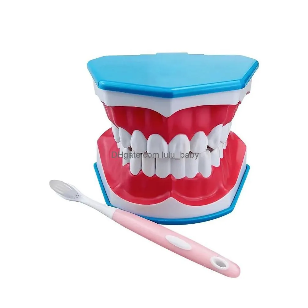 toothbrush large teeth model with tongue toothbrush dentistry dental model teeth brushing models for teaching studying brushing