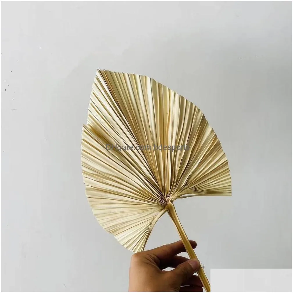 Dried Flowers 5Pcslotdried Natural Palm Leavesdiy Real Display Fan Leaf For Art Wall Hanging Wedding Party Arrange Flowers Decoration Dhsep
