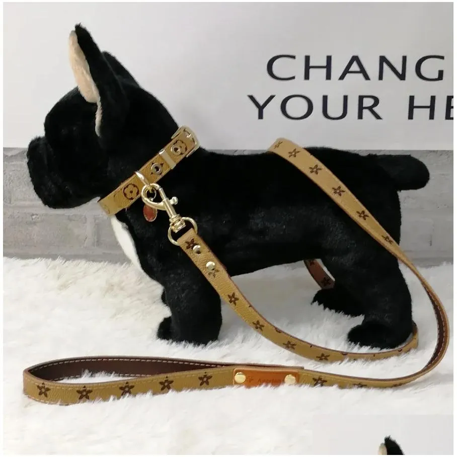 hand holdings rope presbyopic multicolor leather pet collar traction ropes hands holding rope suit dog supplies