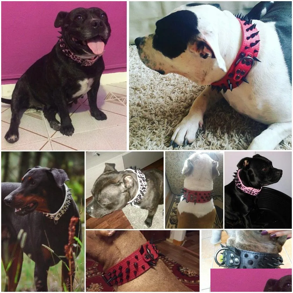 Dog Collars & Leashes Dog Collars Leashes 2 Wide Sharp Spiked Studded Leather Bldog Big Collar Adjustable For Medium Large Dogs Boxer Dheqf
